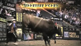 PBR World Champion Bull contenders [upl. by Enriqueta]