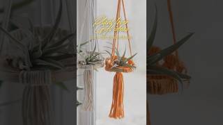 Handmade Air Plant Hangers – Discover More in My Store [upl. by Dub]