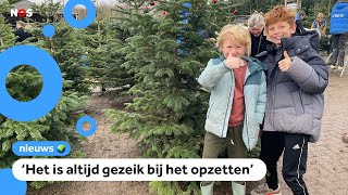 Dit weekend worden veel kerstbomen gekocht [upl. by Llerryt]