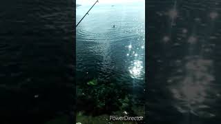 Fishing at port of Angasil Lapulapu City [upl. by Mad378]