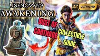 UNKNOWN 9 AWAKENING Guide  Bust Of Carthage Collectible  Location Guide  Anatolia [upl. by Kilgore244]