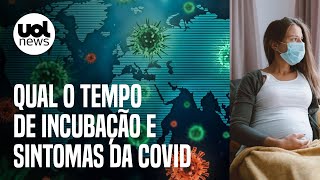 Covid Qual o tempo de incubação sintomas e isolamento Imunologista responde [upl. by Smaoht380]