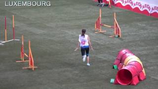 2016 fci agility world championship team medium jumping [upl. by Hanafee]