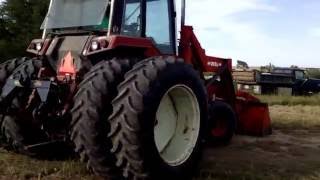 1979 International 1486 Tractor with Loader Selling Bigironcom Online Auction 92116 [upl. by Ynnavoig196]