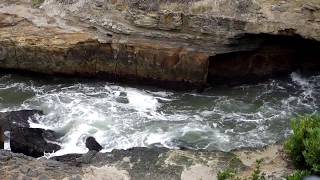 Blowhole 1 Eaglehawk Neck  Tasmania Australia [upl. by Esihcoc]