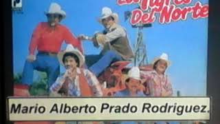 Jaula de oro álbum completo los tigres del Norte 1984 audio [upl. by Blake253]