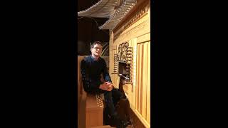 Demo of the 2016 Castilian Organ by AerisOrgona [upl. by Acenes]