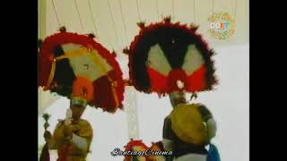 DANZA DE LA PLUMA ZAACHILA GUELAGUETZA 2011 🇲🇽 [upl. by Daffi]