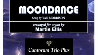 Martin Ellis Moondance Song by Van Morrison [upl. by Ahtar]