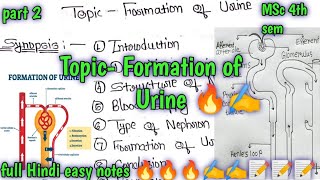 Formation of Urine 🔥🔥📝 part 2Msc 4th sem neurophysiology full हिन्दी easy Notes 🔥🔥📝📝✍️✍️✍️🔥🔥 [upl. by Nairrod]