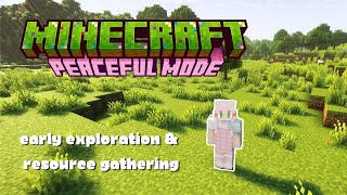 Early Exploration amp Resource Gathering 🌿  Relaxing Minecraft 121 Lets Play  No Commentary [upl. by Eanerb459]