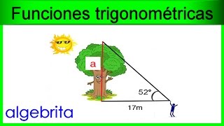 Encontrar la altura de un árbol en base a su sombra proyectada Funciones trigonométricas 367 [upl. by Isherwood748]