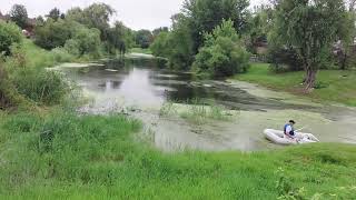 Pond Algae problem Solved Knockdown and Boost for Pond Algae Relief [upl. by Nilad]