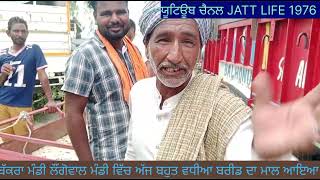 BAKRA MANDILONGOWAL jattlive goat video funny reels shorts animals army new [upl. by Abibah]