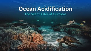 How to Combat Ocean Acidification  The Survival of Ocean Animals  Endangered Marine Animals [upl. by Qulllon667]