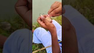 Fishing in pond 🐟 Village hooking fish fish fishinglife trendingshorts youtubeshorts fishing [upl. by Ettenim]