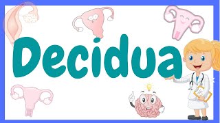 DECIDUA Decidua embryologydecidua in hindi  decidua basalis Decidua [upl. by Galer]