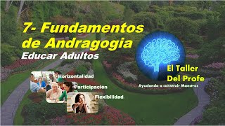 7 Fundamentos de Andragogía [upl. by Bolme]