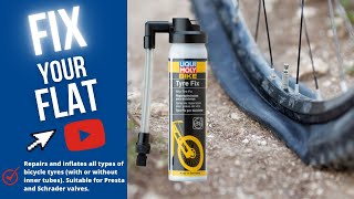 How to permanently seal punctures on your bike tyres with Liqui Moly Tyre Fix  Epi 42 [upl. by Brnaba197]