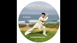 Tai Chi Bang Qinna Joint Locks in Chen Style [upl. by Deeanne915]