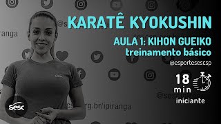 Karatê Kyokushin  AULA 1 Kihon Gueiko treinamento básico [upl. by Lohrman2]