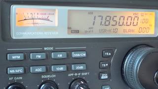 Longwire VS 102 inch CB whip on shortwave observations [upl. by Clovis]