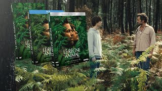 LE RÈGNE ANIMAL Bande annonce sortie DVD Blu Ray amp 4K UHD [upl. by Zipah251]