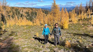 Golden Larches on Mount Frosty 10052023 [upl. by Zel153]