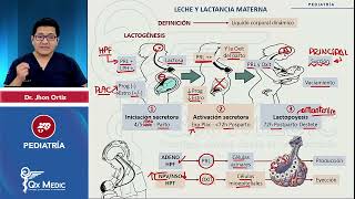 Leche y lactancia materna PEDIATRÍA Índice en descripción ENAM QXMEDIC 2023 [upl. by Ezana]