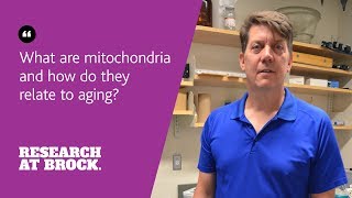 What are mitochondria and how do they relate to aging [upl. by Irmine]