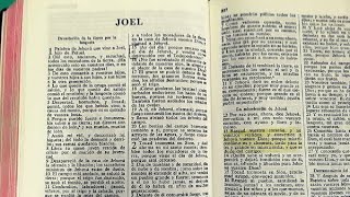 La Biblia  Joel Libro completo  Reina Valera 1960 [upl. by Acirtal]