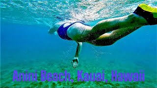 Snorkeling at Anini Beach Kauai Hawaii [upl. by Enegue]