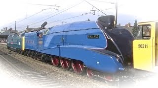 Mallard whistling on the Main line to Grantham [upl. by Are75]