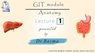 1 Anterior abdominal wall Anatomy GIT Dr Basma [upl. by Llevol]