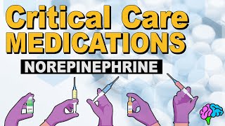 Norepinephrine Levophed  Critical Care Medications [upl. by Edithe]