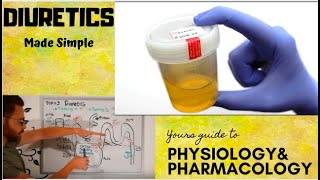 Diuretics CVS Pharmacology  part 1 [upl. by Doreg]