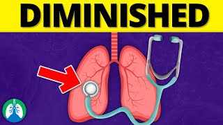 Diminished Breath Sounds Medical Definition  Quick Explainer Video [upl. by Bradan375]