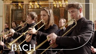 Bach  Sinfonia from Cantata BWV 29  Netherlands Bach Society [upl. by Neenaej]