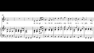 Ombra mai fu  piano accompaniment [upl. by Magen]