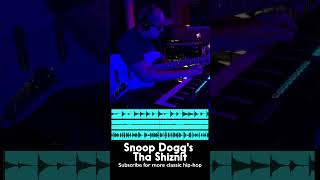 Tha Shiznit by Snoop Dogg  Live Loop Cover livelooping hiphop [upl. by Eskill]