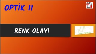 RENK OLAYI  Optik 11  2024 PDF [upl. by Brosy947]