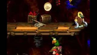 Donkey Kong Country 2  Squawks Shaft [upl. by Sacram]