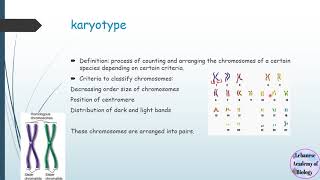 Diploid and haploid cells  karyotypes  Grade 12 LS911S [upl. by Elleahcim42]