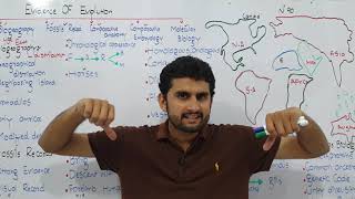 Ch24 Lec8 Evidence Of Evolution UrduHindi Lecture Fsc MDCAT NCERT By M Bilal Chaudhary [upl. by Asi432]