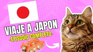 ¿Quieres reir Descubre cómo fue nuestro viaje a JAPON meme de gatos humor gatosgrasiosos [upl. by Annirok]