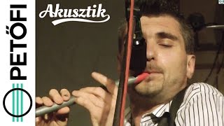 Firkin  Nincompoop Petőfi Rádió Akusztik [upl. by Eillas314]