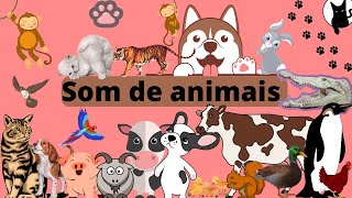 Som de animais gatos cachorros porcos vacas coelhos pássaros esquilos ratos galinhas [upl. by Calli741]