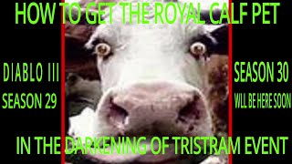 DARKENING OF TRISTRAM HOW TO GET THE ROYAL CALF SEASON 29 DIABLO III [upl. by Bartolome]