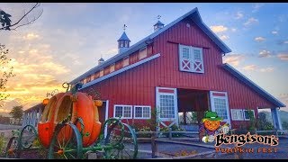 More than Pumpkins at Bengtson Pumpkin Farm [upl. by Sulohcin]