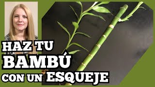 🎋COMO hacer un BAMBU de la SUERTE con un ESQUEJE🌿❗️VeronicaCampaniniPlantas [upl. by Ellehsat37]